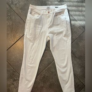 Judy Blue Jeans 16W